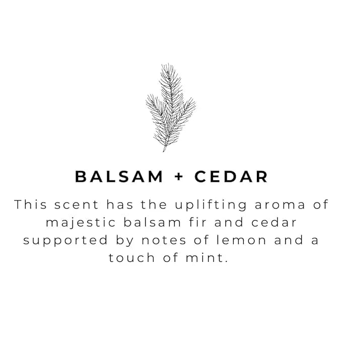 River Birch Balsam Cedar Scented Natural Hand Soap Refill - Handmade Moisturizing Hand Wash Luxury Scented Hydrating Soap - Vegan and Non-Toxic - 32 Fl Oz - ModernBath