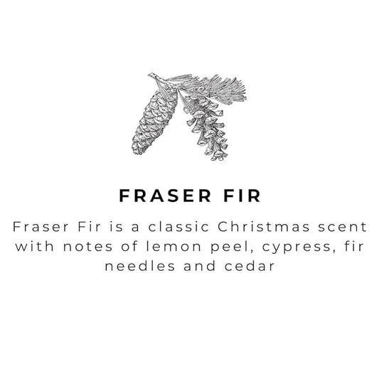 River Birch Fraser Fir Scented Natural Hand Soap Refill - Handmade Moisturizing Hand Wash Luxury Scented Hydrating Soap - Vegan and Non-Toxic - 32 Fl Oz - ModernBath