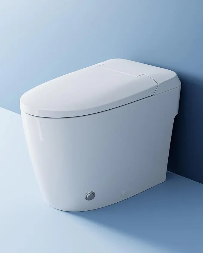 HOROW HR-T30 Non-Electric Bidet Toilet, Tankless Toilet with ADA Chair Height, 1.0GPF and Powerful Flush, Skirted One Piece Toilet for Bathroom, 12" Rough in - ModernBath