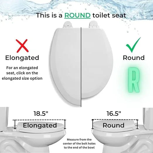 Centoco Round Toilet Seat, Heavy-Duty Wood Core with Plastic Scratch-Resistant Finish, Residential, Made in the USA, 700-001, White - ModernBath