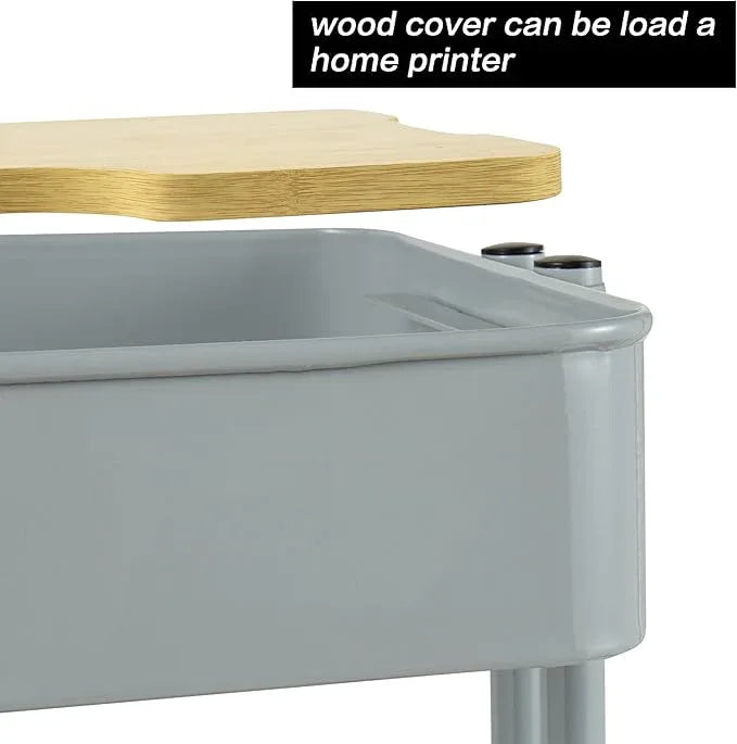 PUNP 2 Tier Rolling Cart，Metal Utility Cart with Wheels and Cover for Office Home Kitchen Organization - ModernBath