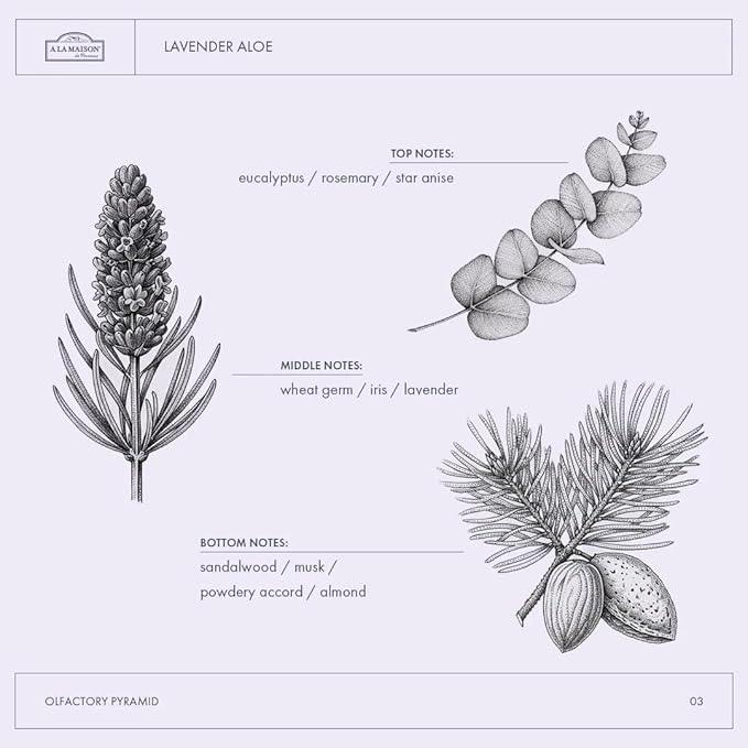 A LA MAISON French Liquid Hand Soap RefilL - Natural Hand Wash Made with Essential Oils - Biodegradable, Plant-Based, Vegan, Cruelty-Free (33.8 Fl Oz Pouch (2 Pack), Lavender Aloe) - ModernBath