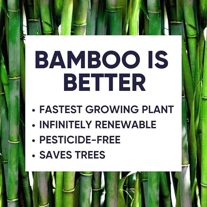Bamboo Toilet Paper, Paper Towels, and Tissues - Compact Bundle Box for Eco-Friendly Households - 12 rolls bamboo toilet paper, 3 rolls bamboo paper towels, and 2 boxes bamboo facial tissues - ModernBath