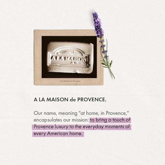 A LA MAISON French Liquid Hand Soap RefilL - Natural Hand Wash Made with Essential Oils - Biodegradable, Plant-Based, Vegan, Cruelty-Free (33.8 Fl Oz Pouch (2 Pack), Lavender Aloe) - ModernBath