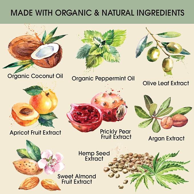 Ginger Lily Farms Botanicals Pure Castile Liquid Soap Refill, Peppermint Scent, 1 Gallon, All-Purpose Cleaner for Body, Face, Hair, Dishes, Laundry & Pets, Non-GMO, 100% Vegan & Cruelty-Free - ModernBath