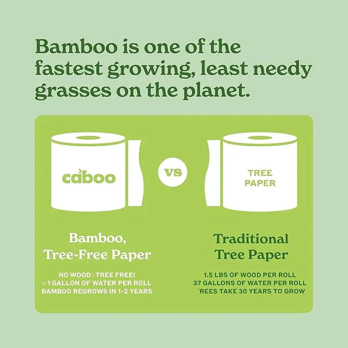 Caboo Tree Free Unbleached Toilet Paper | Plastic Free Packaging, Septic Safe, Eco Friendly, Chemical Free, Non Toxic | 2 Ply Toilet Tissue, Pack of 12 Double Rolls, 300 Sheets Per Roll - ModernBath