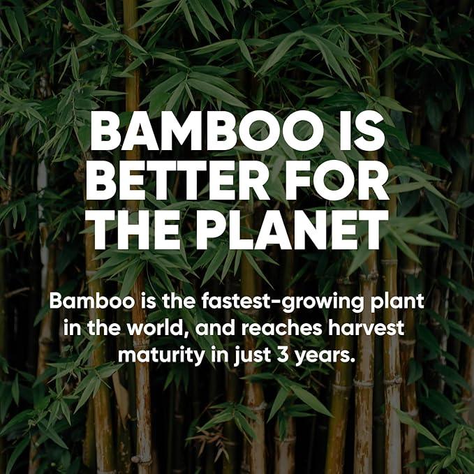 Save Trees Bamboo Toilet Paper - 12 Rolls Of Organic Toilet Paper, 3-ply, 300 Sheets Per Roll - PFAS Free, FSC Certified, Plastic Free, Vegan & Chemical Free Bamboo TP - ModernBath