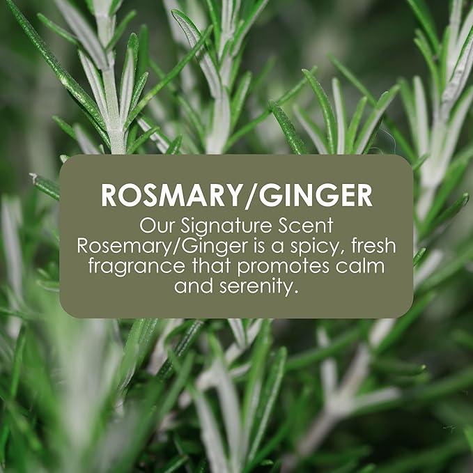 Jean & Len Hand & Body Wash Rosemary and Ginger in canister, cleans and cares for the skin, spicy fresh scent, liquid soap in refill canister, without silicones & parabens, 169.07 Fl. OZ. - ModernBath