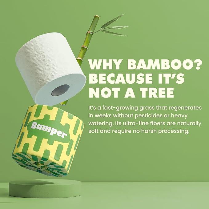 Bamboo Toilet Paper, 3-Ply & 380 Sheets, Soft & Strong Organic Bath Tissue, Chemical-Free & Hypoallergenic, Septic Safe, PFAS-Free, Tree-Free Bathroom Tissue (24 Extra-Large Rolls) - ModernBath