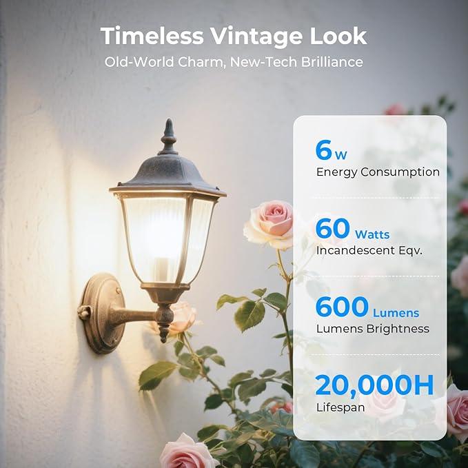 Dimmable LED Edison Bulbs, 4000K Daylight White, 6W Equivalent to 60 watt E26 LED Bulb, ST58 Vintage Light Bulbs, 600LM, 90+ CRI, E26 Base, Clear Glass, 10 Pack - ModernBath
