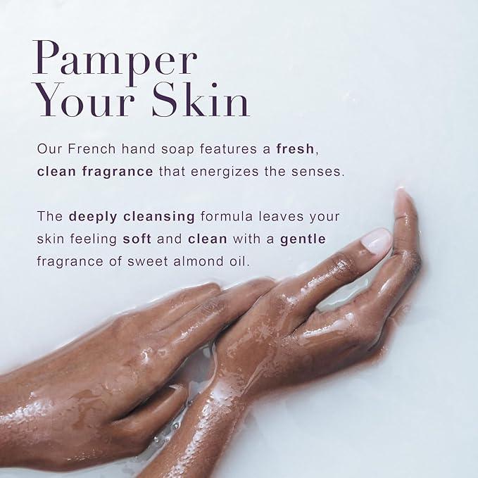 A LA MAISON French Liquid Hand Soap RefilL - Natural Hand Wash Made with Essential Oils - Biodegradable, Plant-Based, Vegan, Cruelty-Free (33.8 Fl Oz Pouch, 2 Pack, Provence Lemon) - ModernBath