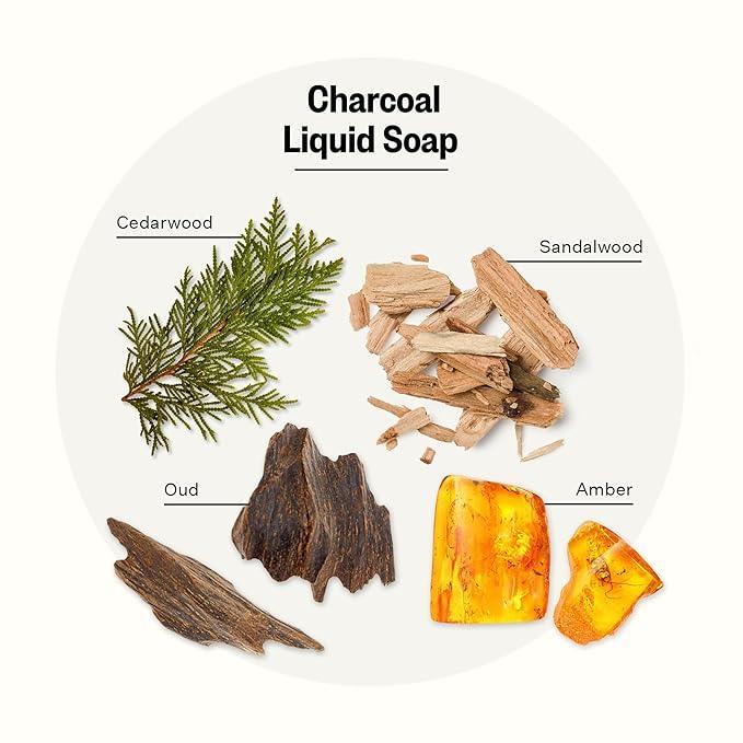 APOTHEKE Liquid Hand Soap, Charcoal - 10 Fl Oz Hydrating Handsoap with Premium Fragrance Oils Gently Cleanses, Moisturizes & Rejuvenates Skin - Scented Hand Wash for Kitchen & Bathroom - ModernBath