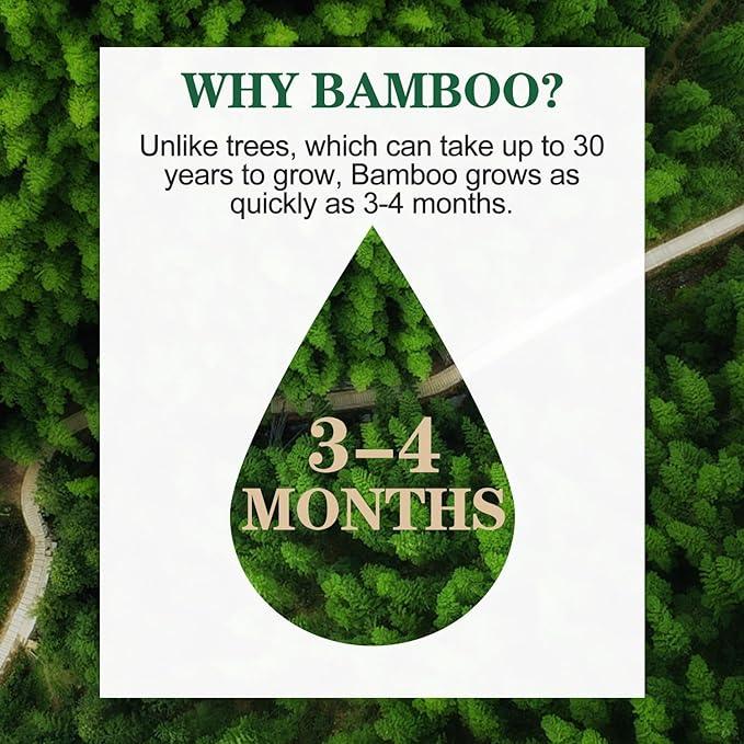QingYa Bamboo Toilet Paper, 4-Ply, 18 Rolls of Septic Safe Organic Bath Tissues, Sustainable and Tree Free, Soft, Strong, Earth-Friendly, Chemical Free PFAS Free, BPA Free - FSC Certified (white) - ModernBath