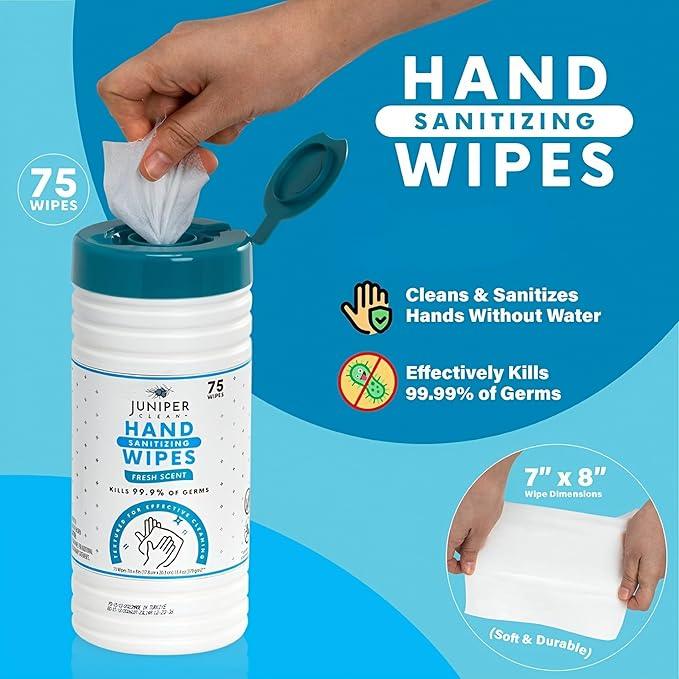6 Pack Canister Hand Sanitizing Wipes, 450 Count Canister Disposable Hand Sanitizer Wipes, Fresh Scent, Lint Free & Durable - ModernBath
