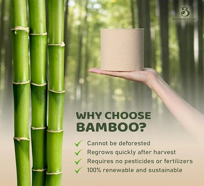 Bamboo Story Premium Toilet Paper 6 Rolls, 3PLY & 350 Sheets | FSC Certified, Biodegradable, Unbleached, Chemical Free, Plastic Free, BPA Free, Septic Safe Toilet Tissue (6) - ModernBath