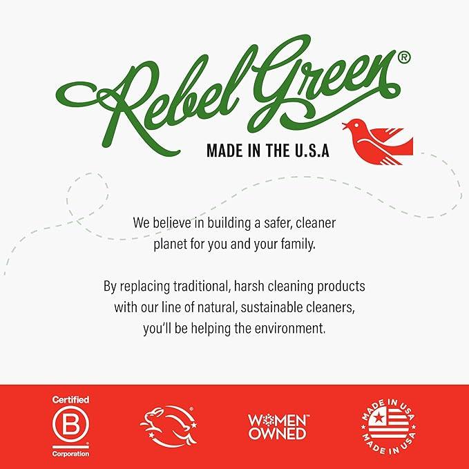 Rebel Green Fresh & Clean Hand Soap - Natural Liquid Hand Soap for Bathroom & Kitchen - Rose & Lemon, 12 Fl oz, Pack of 2 - ModernBath