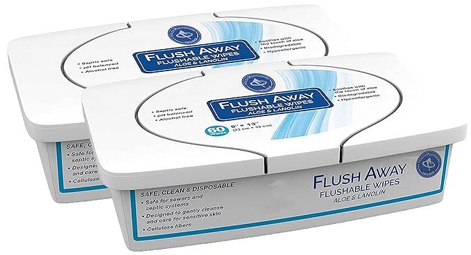 HAO Flush Away Flushable Wipes Made With Aloe and Lanolin (60 Count Tub) PACK OF 2 - ModernBath