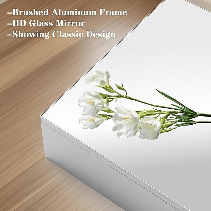 ANYHI 24"x16" Silver Bathroom Cabinet with Mirror, Single Door Bathroom Wall Mirror Cabinet, 2 Adjustable Storage Organizer Shelves, 5 Removable Hooks - ModernBath