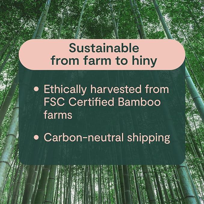 ecoHiny Premium & Soft Bamboo Toilet Paper | PFAS Free | 12 Mega Rolls, 3 ply & 350 Sheets | Non Toxic, FSC Certified, Septic Safe, BPA Free | Tree Free Toilet Tissue | Plastic Free Packaging - ModernBath