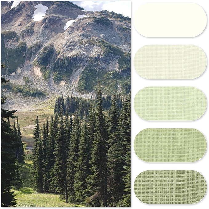 jinchan Ombre Forest Green Striped Shower Curtain Waterproof Fabric Shower Curtain for Bathroom Gradual Color Minimalist Design Modern Neutral with 12 Hooks 70x72 Inches - ModernBath