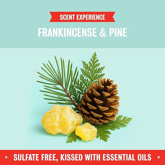 Rebel Green Fresh & Clean Hand Soap - Natural Liquid Hand Soap for Bathroom & Kitchen - Frankincense Pine 12 Fl oz, Pack of 2 - ModernBath