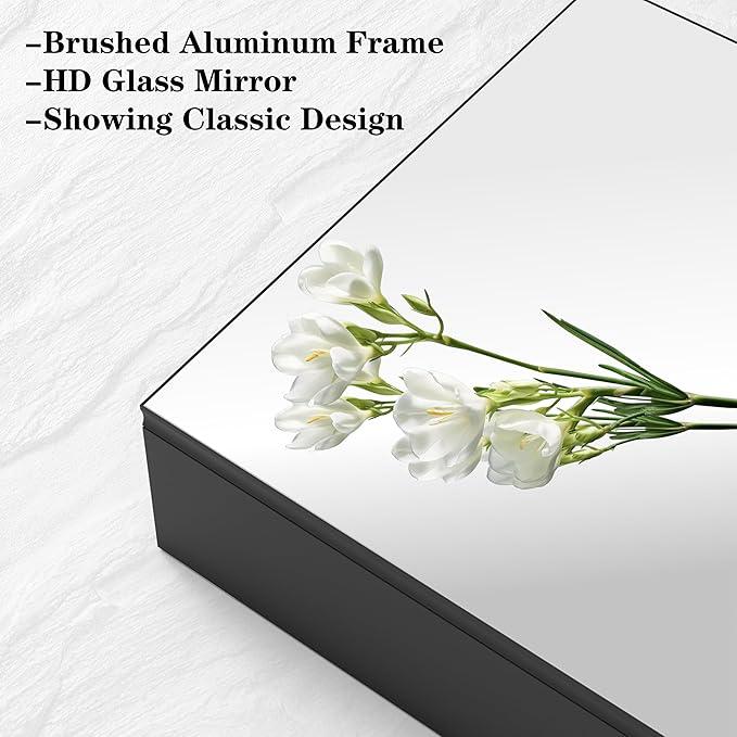 ANYHI 24"x16" Black Bathroom Cabinet with Mirror, Single Door Bathroom Wall Mirror Cabinet, 2 Adjustable Storage Organizer Shelves, 5 Removable Hooks - ModernBath