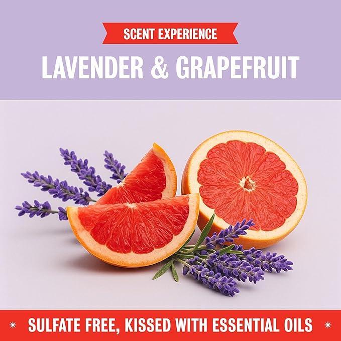 Rebel Green Fresh & Clean Hand Soap - Natural Liquid Hand Soap for Bathroom & Kitchen - Lavender & Grapefruit, 12 Fl oz, Pack of 2 - ModernBath