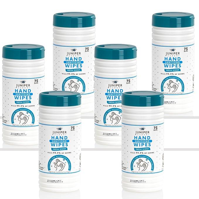 6 Pack Canister Hand Sanitizing Wipes, 450 Count Canister Disposable Hand Sanitizer Wipes, Fresh Scent, Lint Free & Durable - ModernBath