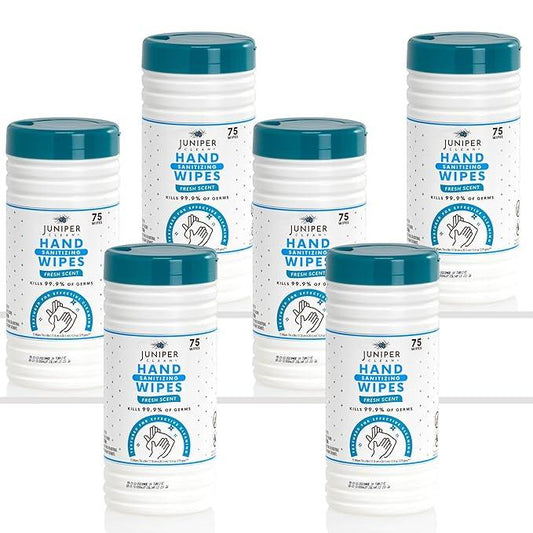 6 Pack Canister Hand Sanitizing Wipes, 450 Count Canister Disposable Hand Sanitizer Wipes, Fresh Scent, Lint Free & Durable - ModernBath