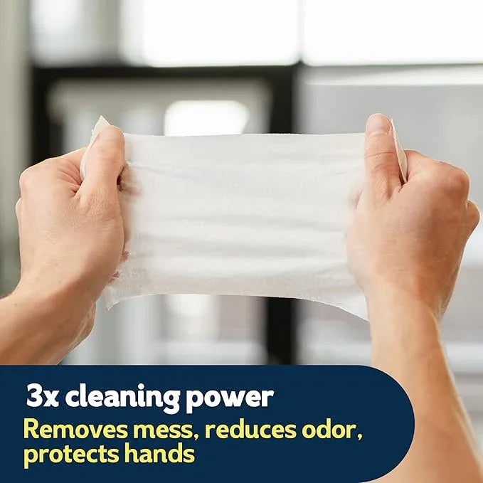 Cottonelle Summer Fresh Scented Flushable Wipes, 8 Flip-Top Packs, 42 Wet Wipes per Pack - ModernBath