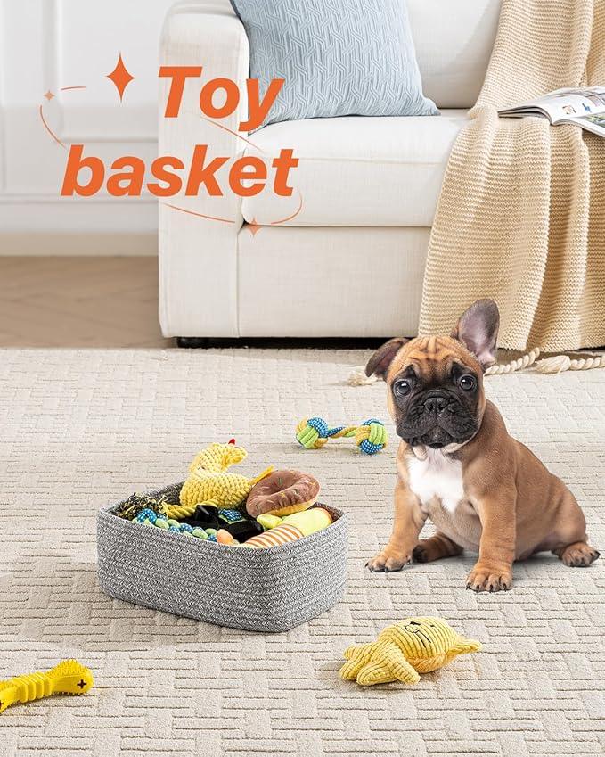 Small Woven Basket, 12 x 8 x 4.5 Inches, Storage Basket for Organizing, Cute Small Rope Shelf Closet Cube Storage Bins Baskets for Shelves, Dog Toy Gift Baskets Empty, 3 Packs, Mixed Grey - ModernBath