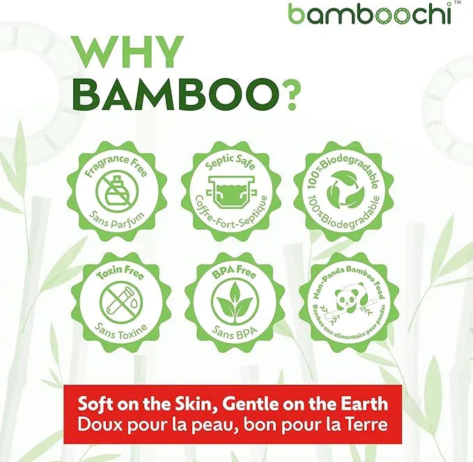 Bamboochi Bamboo Toilet Paper, Septic Safe Toilet Paper 2 Ply 96 Rolls 300 Sheets Per Roll, Soft Unscented Bath Tissue, RV Safe, Eco-Friendly, Non Chlorine, PFAS Free, Made in Canada - ModernBath