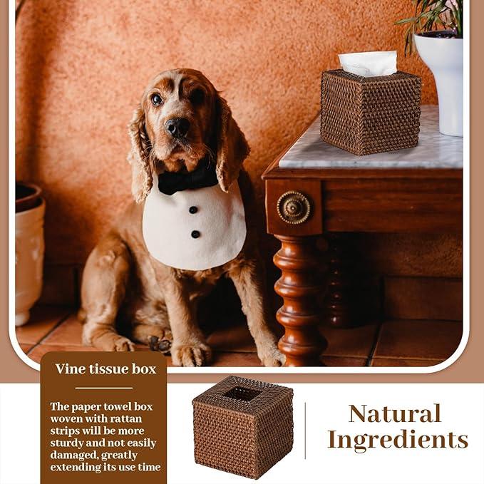 Kigley 2 Pcs Square Rattan Tissue Box Cover Boho Wicker Tissue Cube Box Cover 5.5'' x 5.5'' x 5.5'' Decorative Natural Wicker Hand Woven Napkin Box Holder Bathroom Office Car Accessories (Brown) - ModernBath