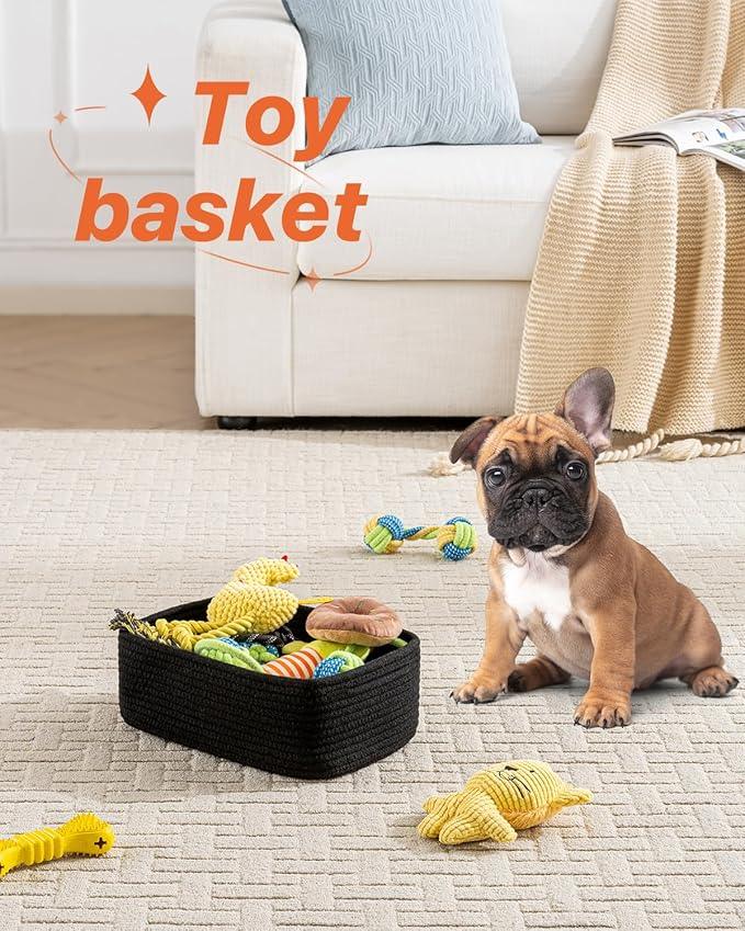 Small Woven Basket, 12 x 8 x 4.5 Inches, Storage Basket for Organizing, Cute Small Rope Shelf Closet Cube Storage Bins Baskets for Shelves, Dog Toy Gift Baskets Empty, 3 Packs, Black - ModernBath