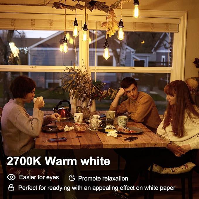 TJOY 10 Pack Vintage 8W ST58 LED Edison Light Bulbs, Dimmable, 60W Equivalent, 800Lumens, 2700K Warm White, E26 Base LED Filament Bulb, CRI80+, Antique Glass Style for Home, Bedroom, Office, Farmhouse - ModernBath