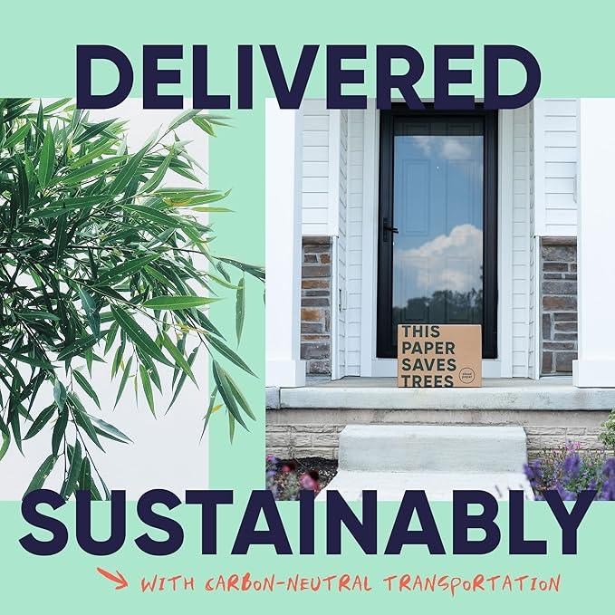 Bamboo Toilet Paper, Paper Towels, and Tissues - Compact Bundle Box for Eco-Friendly Households - 12 rolls bamboo toilet paper, 3 rolls bamboo paper towels, and 2 boxes bamboo facial tissues - ModernBath