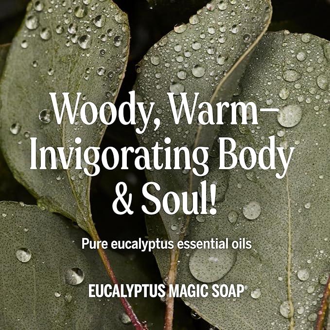 Dr. Bronner's Magic Soap-Pure-Castile Liquid Refill (Eucalyptus, 32 ounce, 2-Pack) - Regenerative Organic Certified Oils, For Body, Hair, Laundry, Pets & Dishes, Concentrated, Vegan, Non-GMO - ModernBath