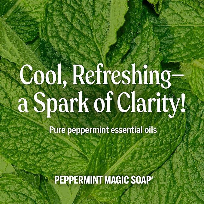 Dr. Bronner's Magic Soap-Pure-Castile Liquid Refill (Peppermint, 32 ounce, 2-Pack) - Regenerative Organic Certified Oils, For Body, Hair, Laundry, Pets & Dishes, Concentrated, Vegan, Non-GMO - ModernBath